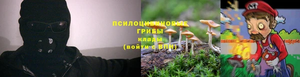 прущая мука Пролетарск