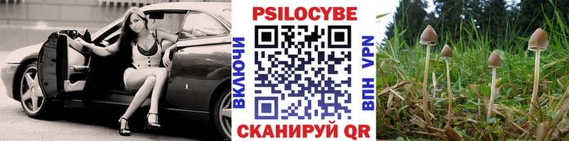 Псилоцибиновые грибы ЛСД  Алатырь 