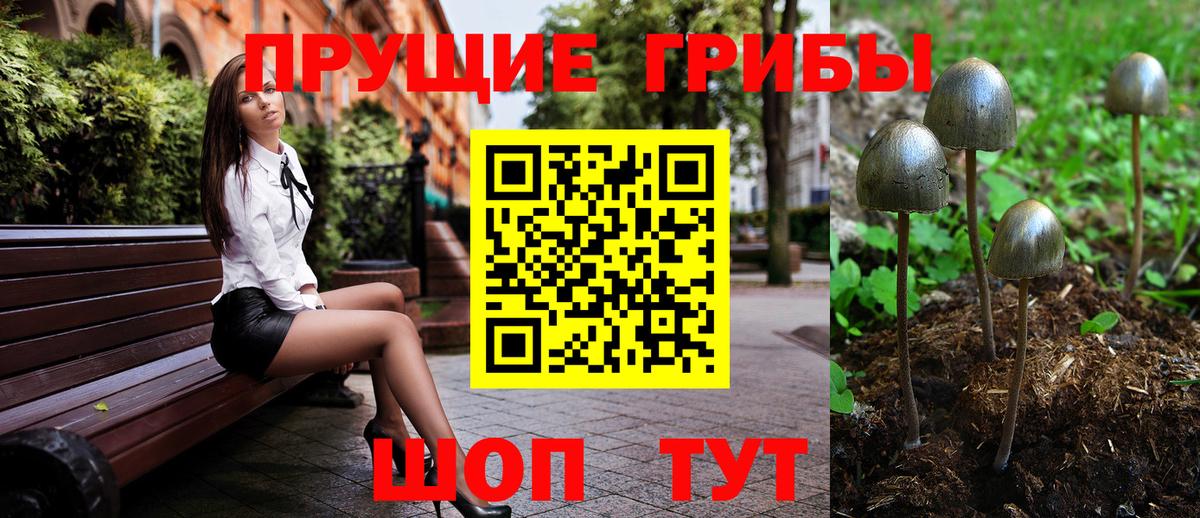 Псилоцибиновые грибы Psilocybe Алатырь
