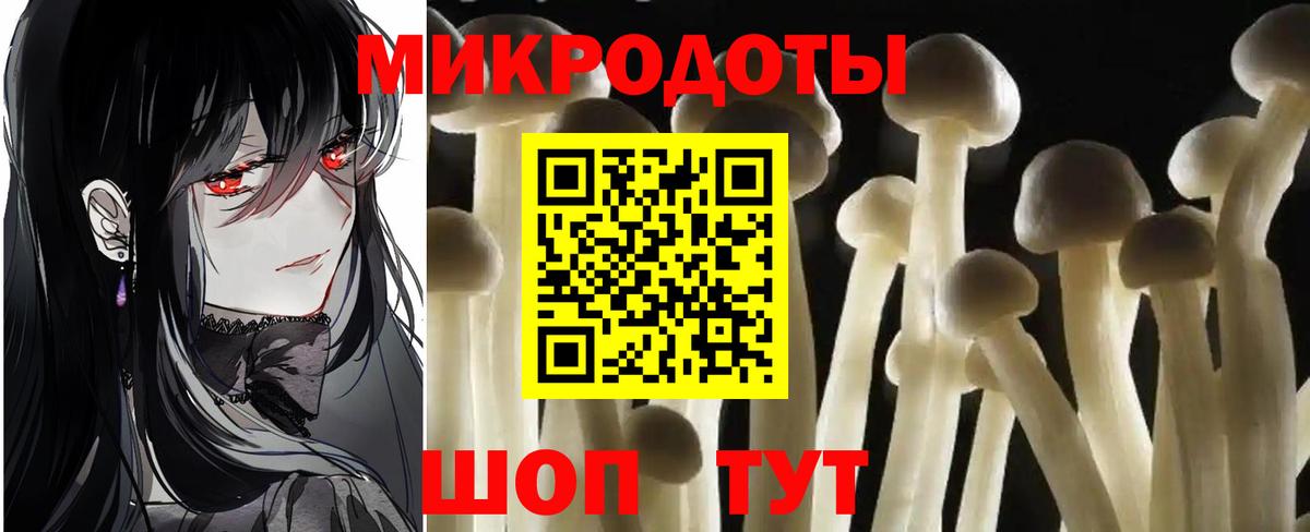 Алатырь  Псилоцибиновые грибы прущие грибы  Вход с VPN  Псилоцибиновые грибы Cubensis 