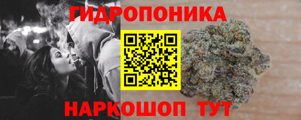 Бошки марихуана LSD WEED  Вход с VPN  Шишки марихуана THC 21%  Алатырь  Шишки марихуана White Widow  Каннабис THC 21% 